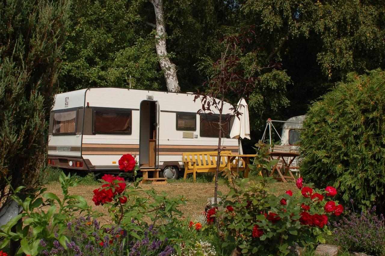 Camping Rogowo เมอร์เชเชโน ภายนอก รูปภาพ