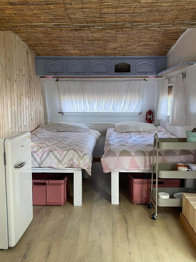 Camping Rogowo เมอร์เชเชโน ภายนอก รูปภาพ