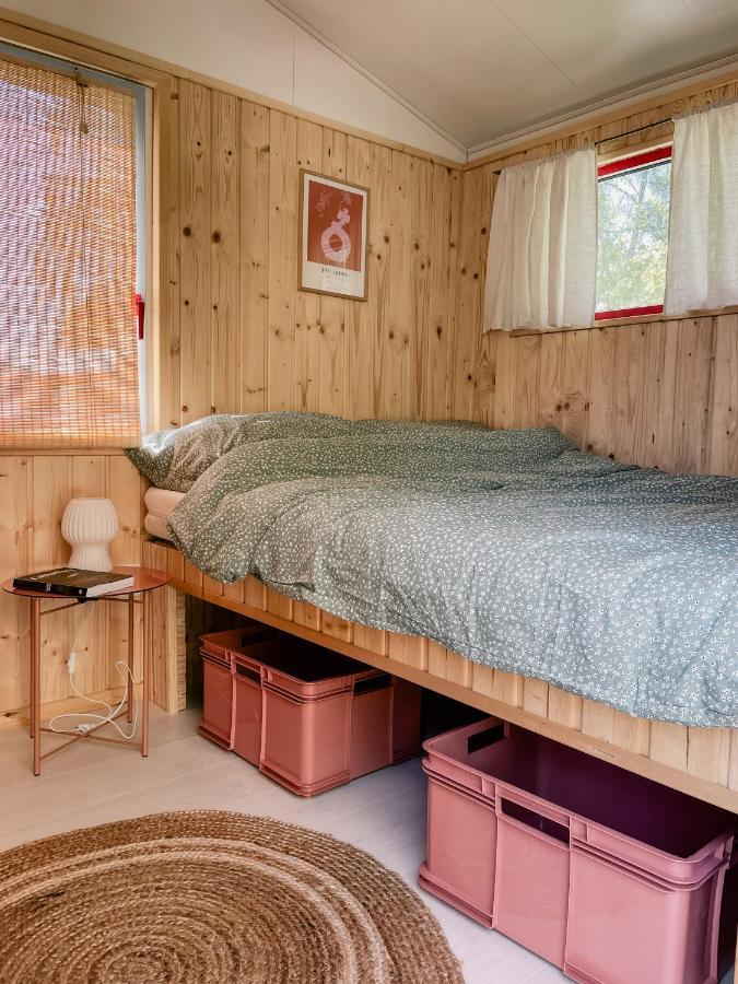 Camping Rogowo เมอร์เชเชโน ภายนอก รูปภาพ