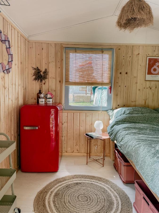 Camping Rogowo เมอร์เชเชโน ภายนอก รูปภาพ
