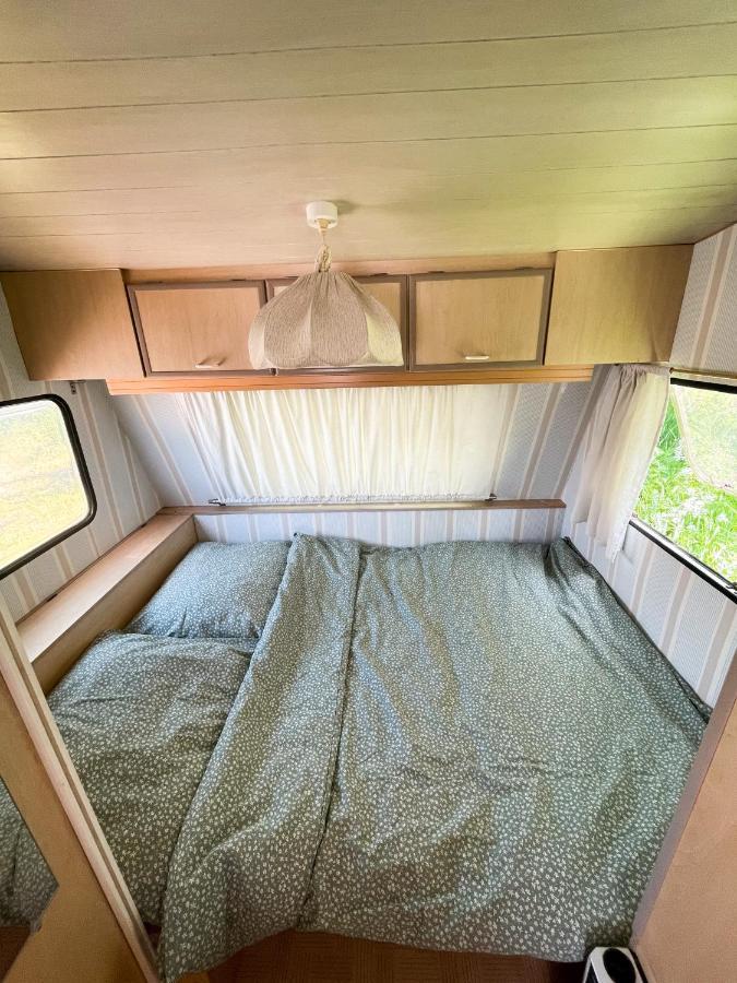 Camping Rogowo เมอร์เชเชโน ภายนอก รูปภาพ