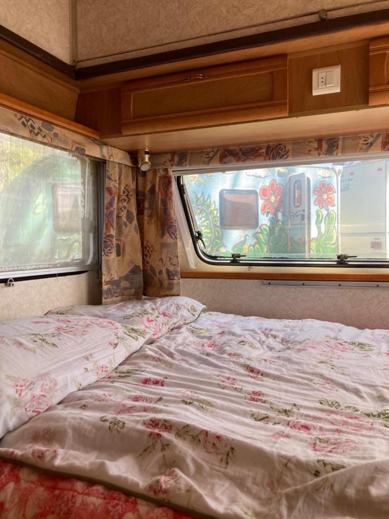 Camping Rogowo เมอร์เชเชโน ห้อง รูปภาพ